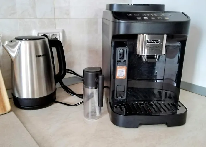 Exclusive Living * 부쿠레슈티